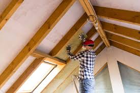 Best Spray Foam Insulation  in Roma, TX